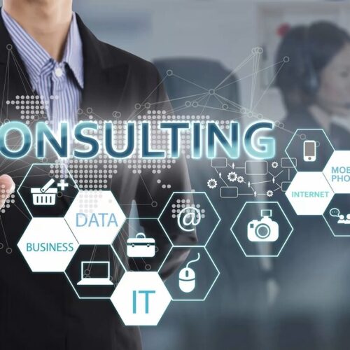 IT Software Consulting Services: A Complete Guide for Businesses in 2025